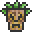 ペットのTiki Spirit.png