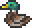 Mallard Duck.png